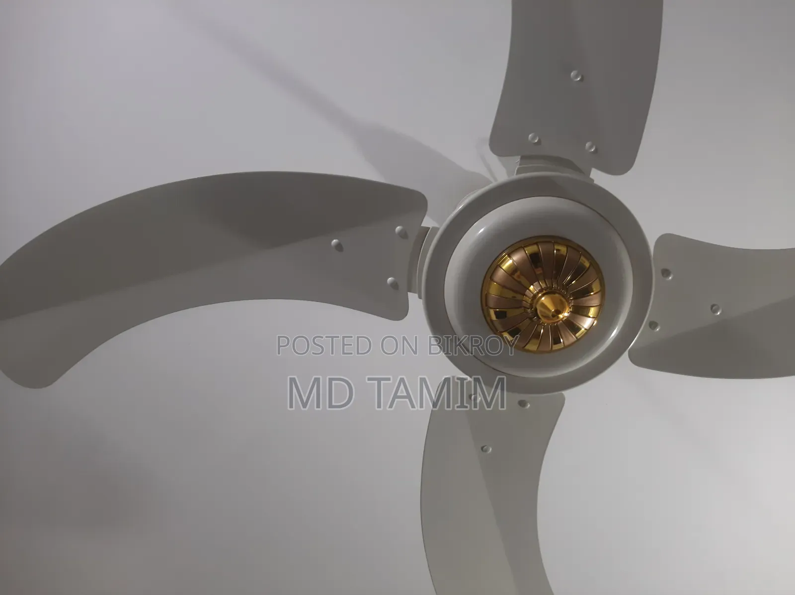 Sk Fan(Pakistan)