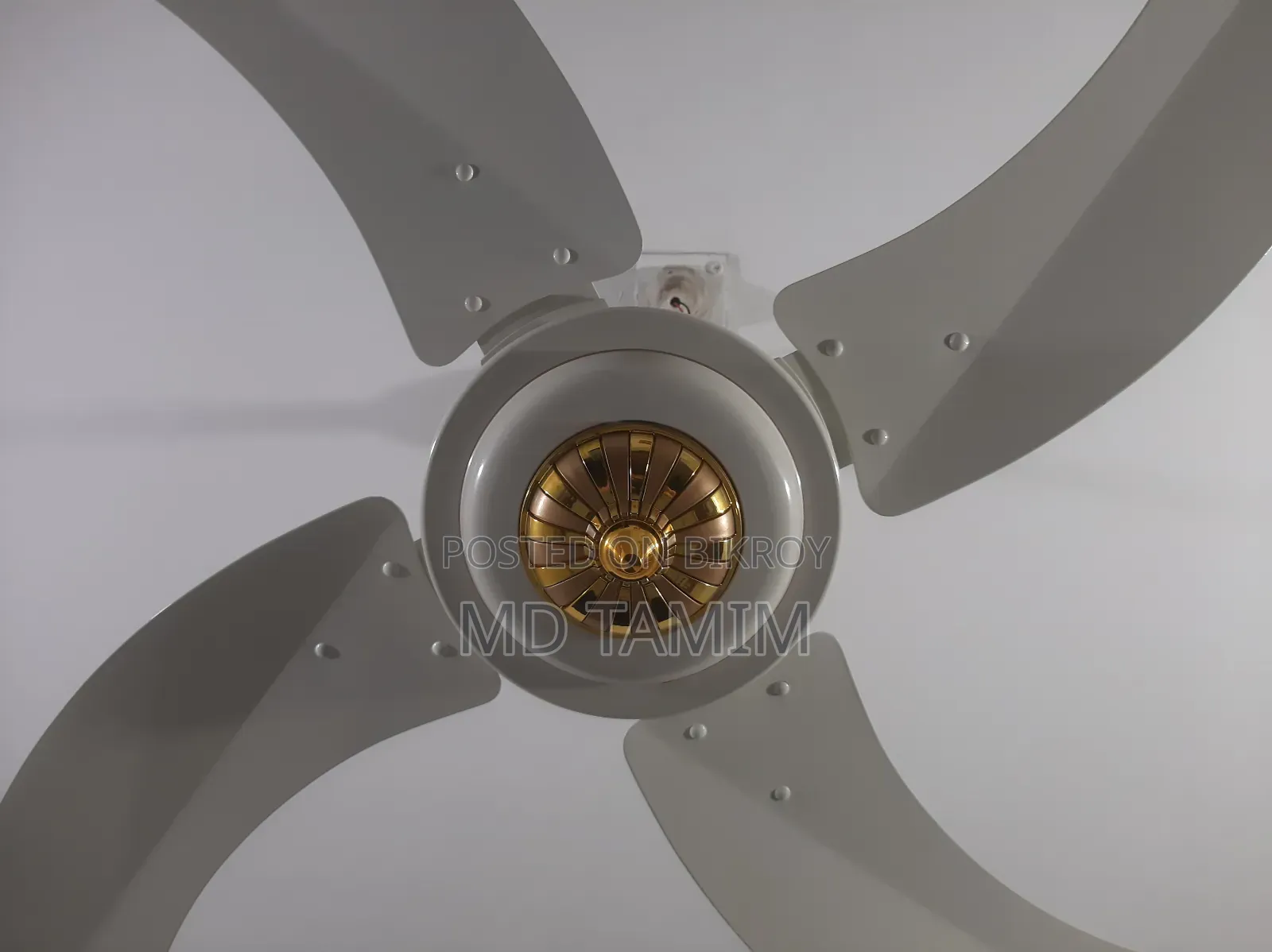 Sk Fan(Pakistan)
