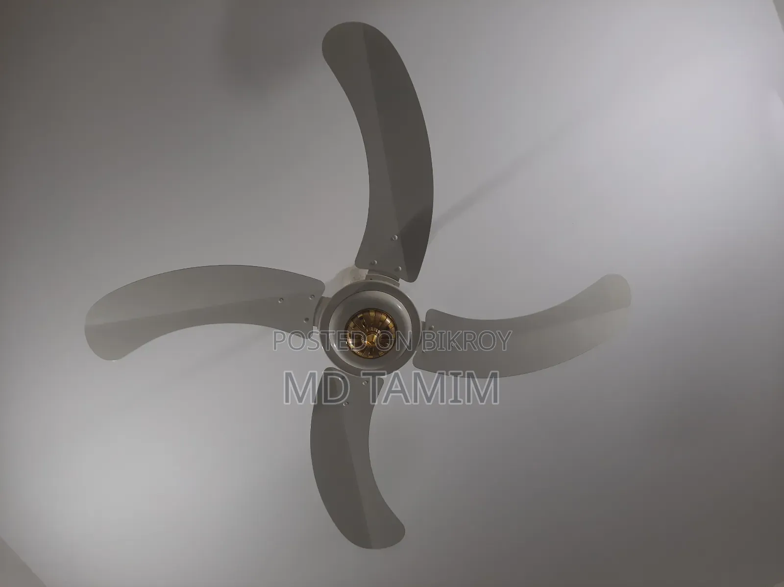 Sk Fan(Pakistan)