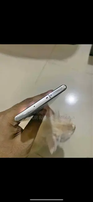 স্যামসাং গ্যালাক্সি নোট ১০ প্লাস ২৫৬ জিবি সিলভার