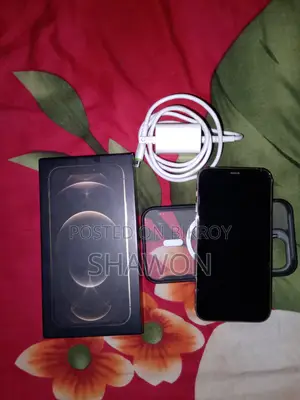 অ্যাপল আইফোন ১২ প্রো ২৫৬ জিবি হোয়াইট