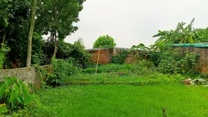 (জরুরি) ৬৯ লক্ষ টাকায় ৩ কাঠার একটি জমি বিক্রয় করা হবে