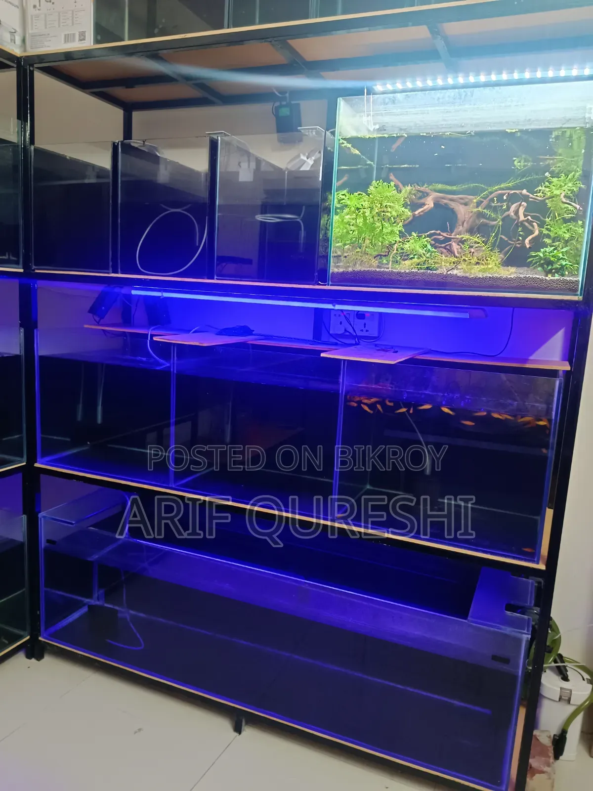 Aquarium Shop Full Ready Setup
