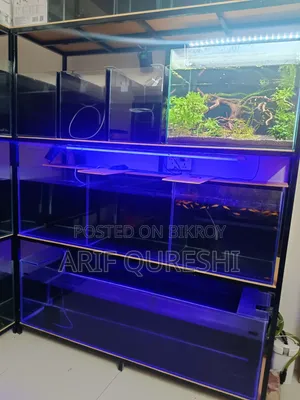 Aquarium Shop Full Ready Setup