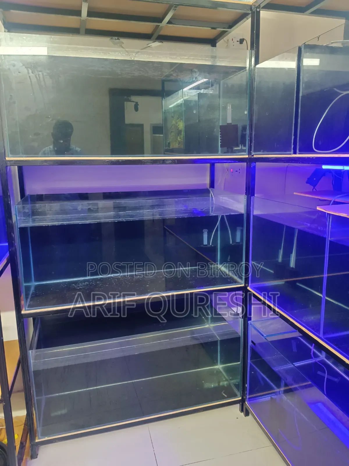 Aquarium Shop Full Ready Setup