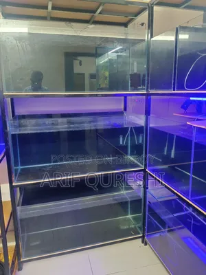 Aquarium Shop Full Ready Setup