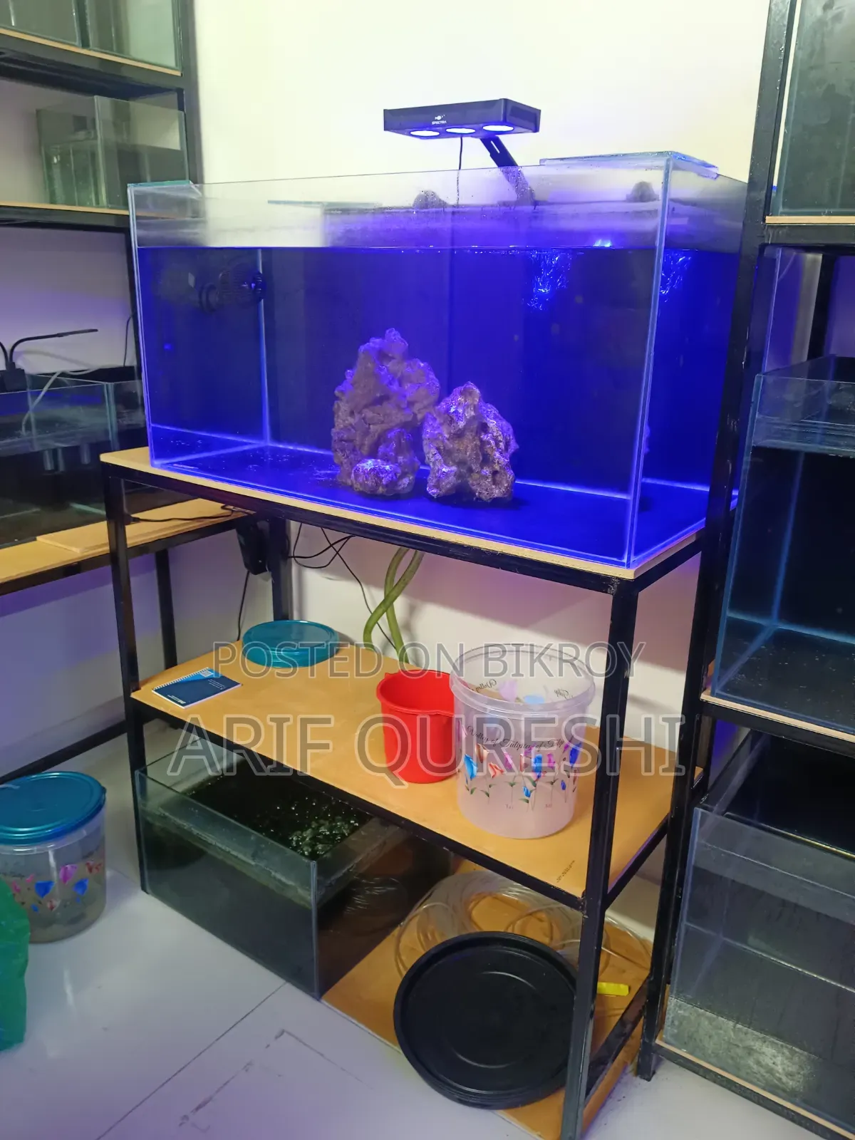 Aquarium Shop Full Ready Setup