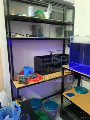 Aquarium Shop Full Ready Setup