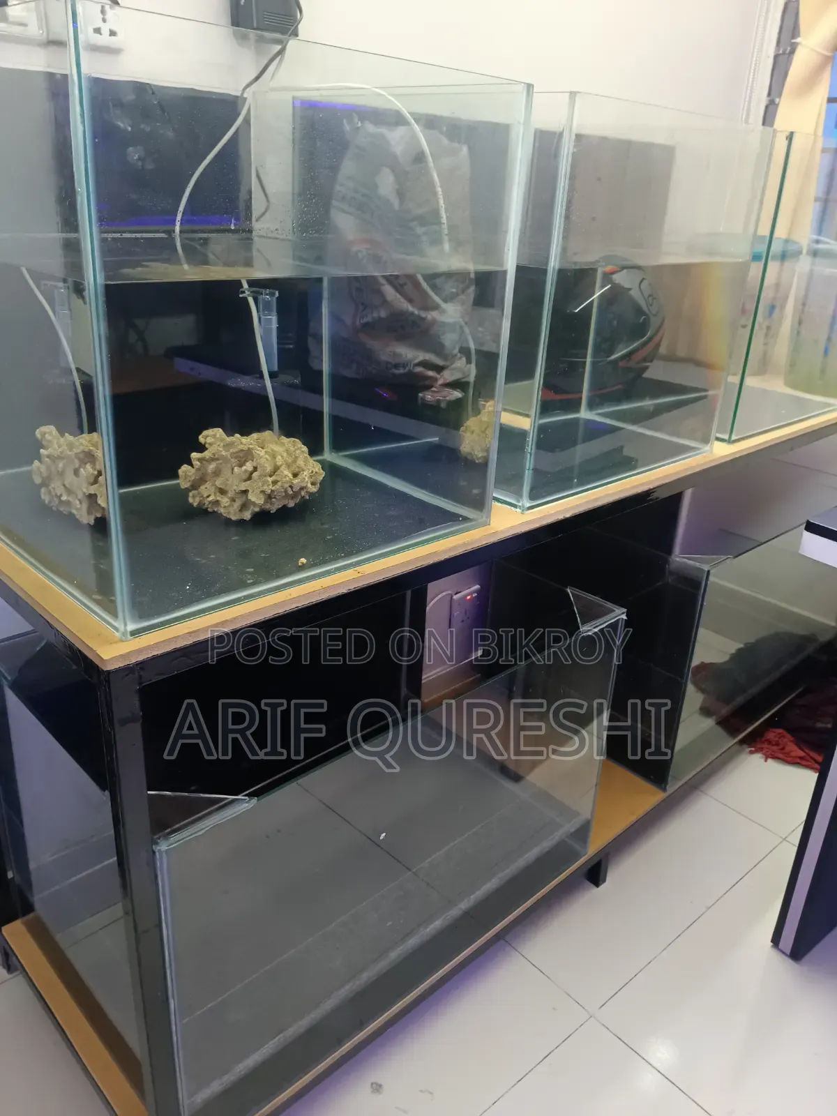 Aquarium Shop Full Ready Setup