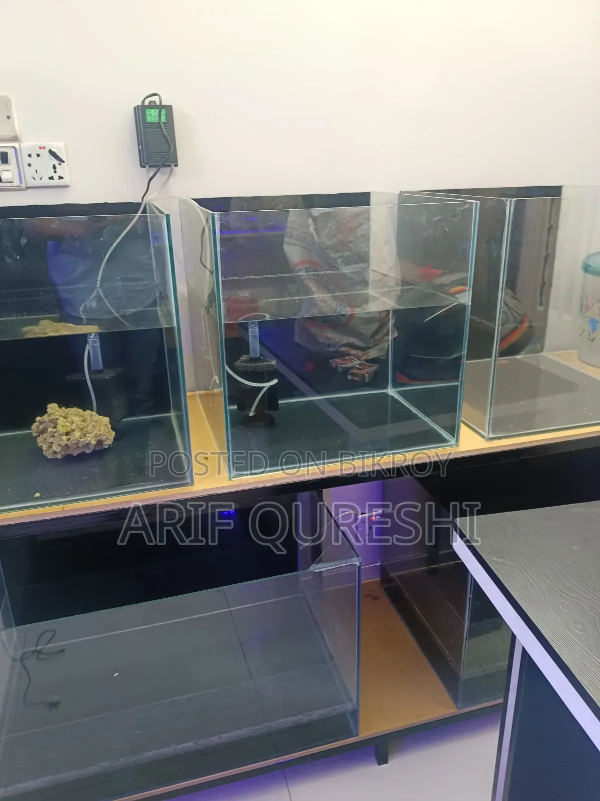 Aquarium Shop Full Ready Setup