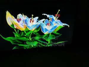 32" Sony Bravia TV for sale. (Made in Malaysia)
