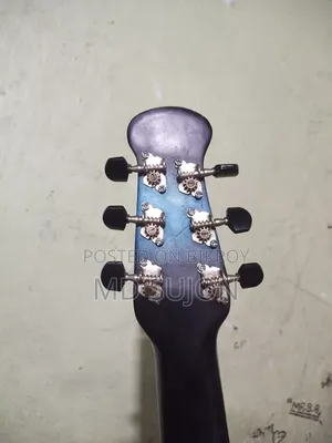 সিগনেচার গিটার