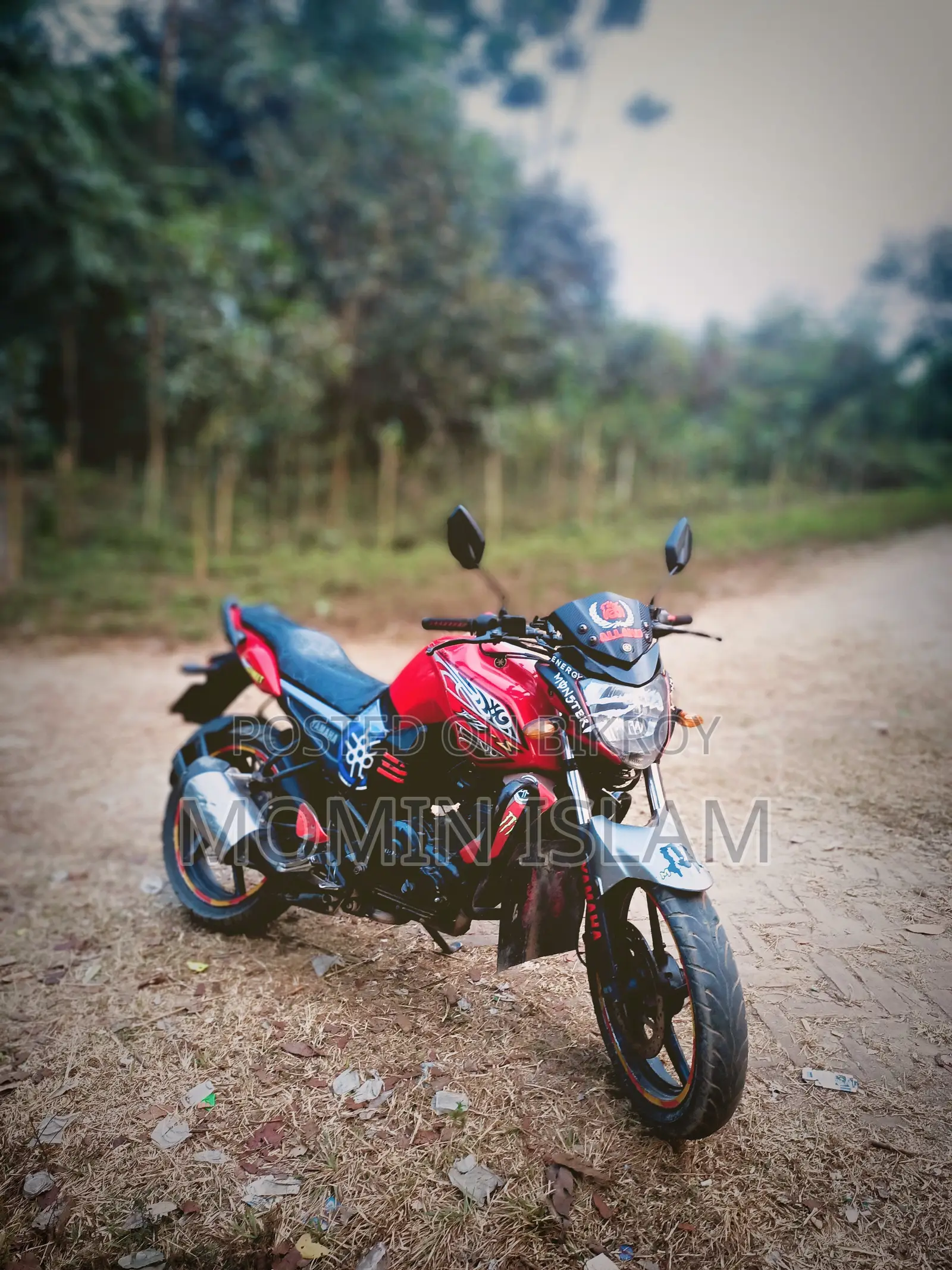 ইয়ামাহা ২০১৩ লাল