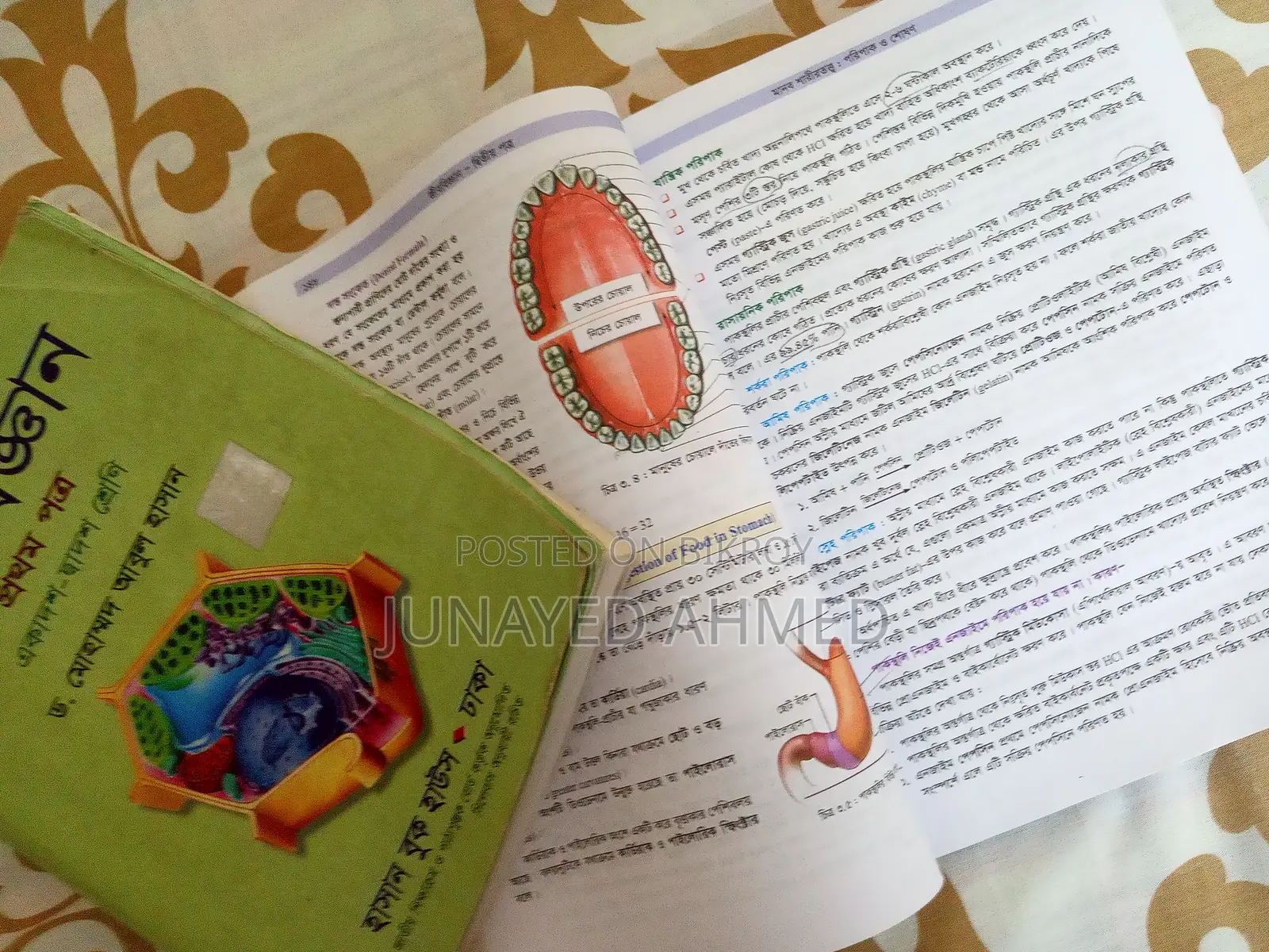 HSC জীববিজ্ঞান ১ম-২য় পত্র (আবুল হাসান ও গাজী আজমল) ২ বই