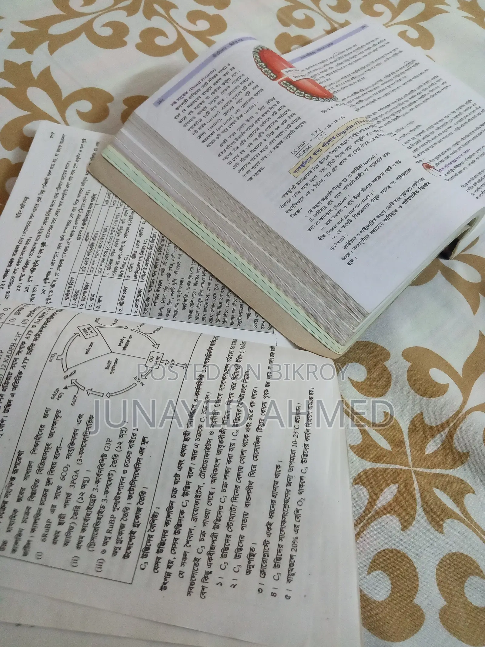 HSC জীববিজ্ঞান ১ম-২য় পত্র (আবুল হাসান ও গাজী আজমল) ২ বই