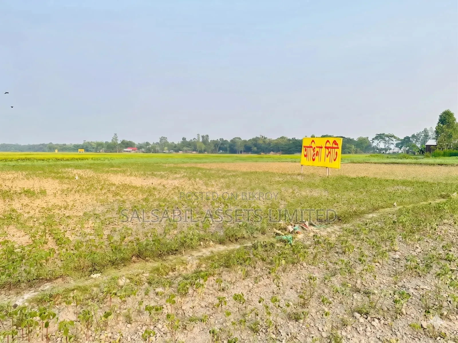 আঙিনা সিটি পূর্বাচল