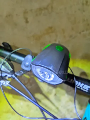 Horn Light