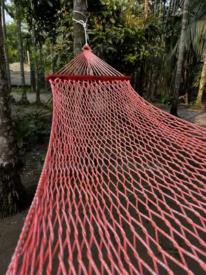 Premium Knotless Hammock Swing