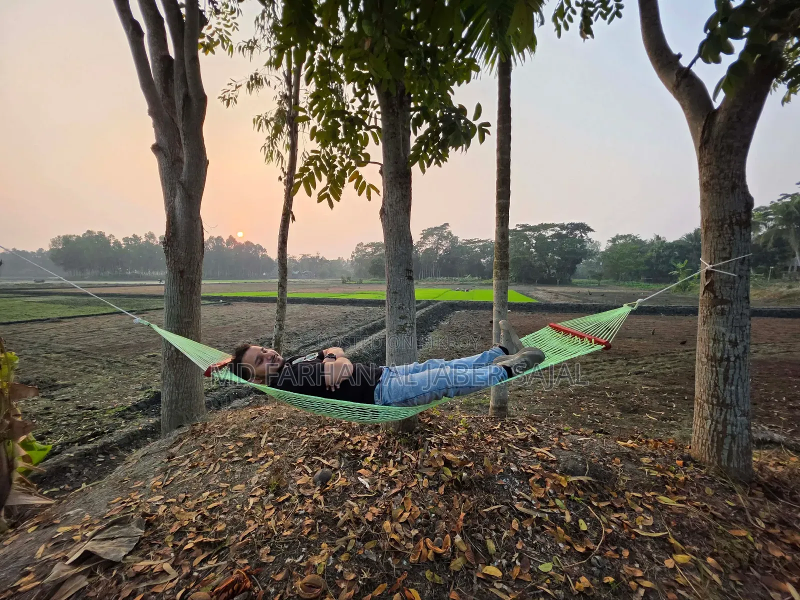 Premium Knotless Hammock Swing
