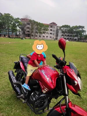 Hero Hunk 2021 Red