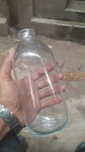 Fighter Fish Jar.