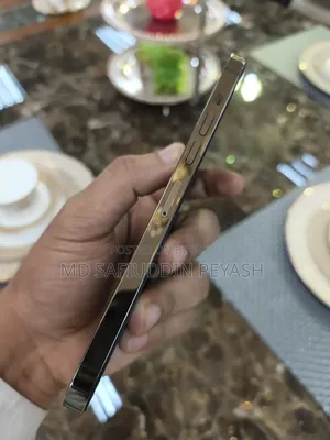 Apple iPhone 13 Pro Max 256 GB