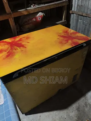 Walton ডিপ ফ্রিজ ২২৫ লিটার
