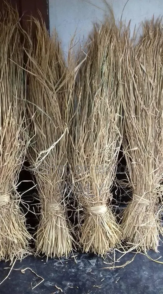 ধান ও বিছলি