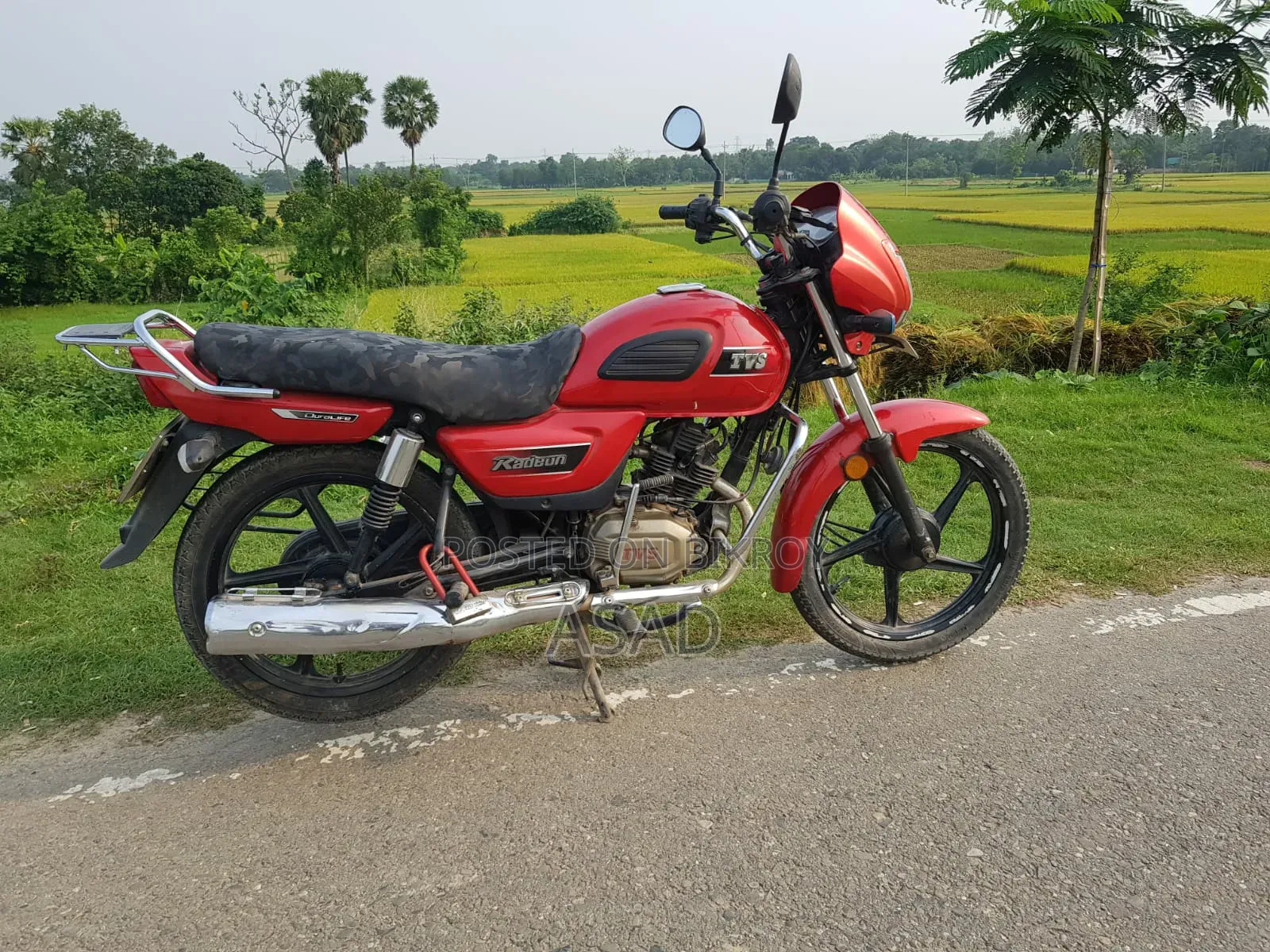 TVS Radeon 2021 Red