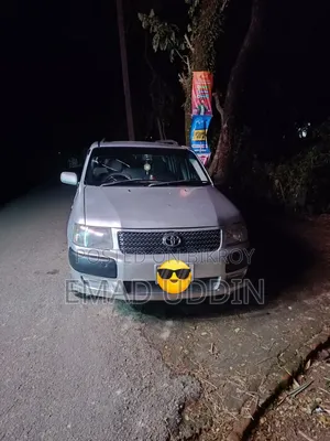 Toyota Succeed 2003 Silver
