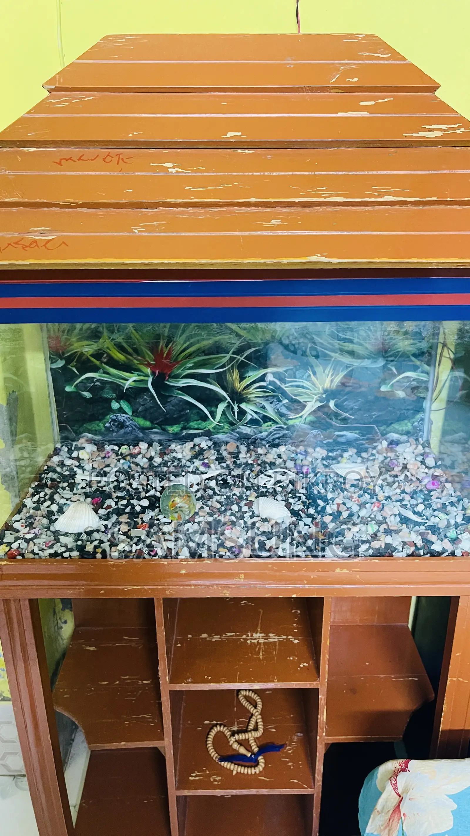 Aquarium for Sale