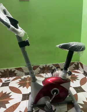 Gym Cycle (Good as New)