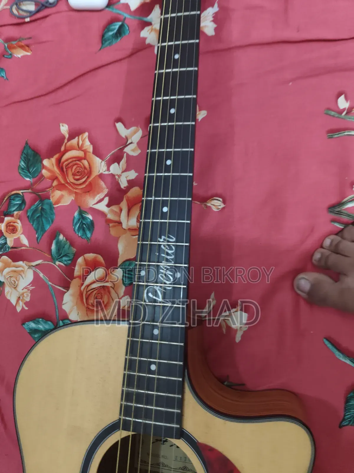 Axe Premium Segman Guitar