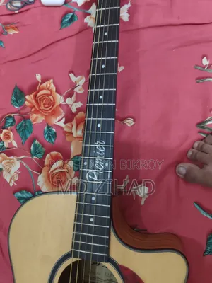 Axe Premium Segman Guitar