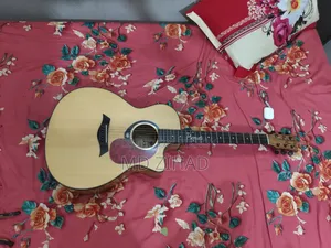 Axe Premium Segman Guitar