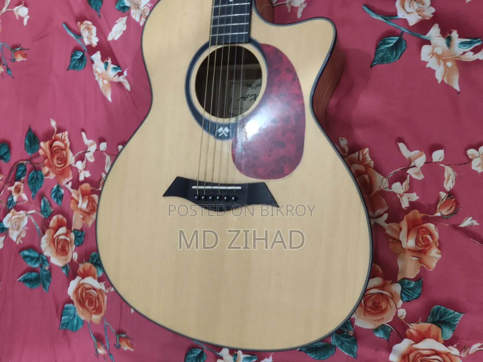 Axe Premium Segman Guitar