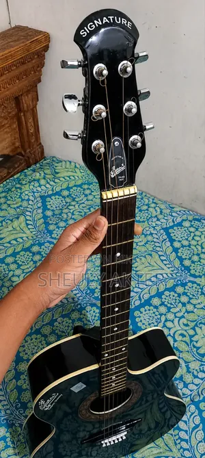 Signature Guitar