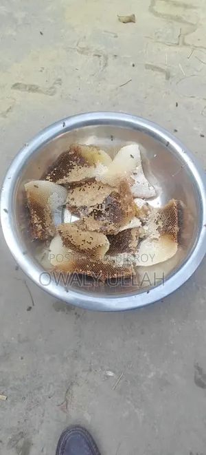 প্রাকৃতিক চাকের মধু