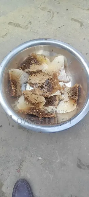 প্রাকৃতিক চাকের মধু