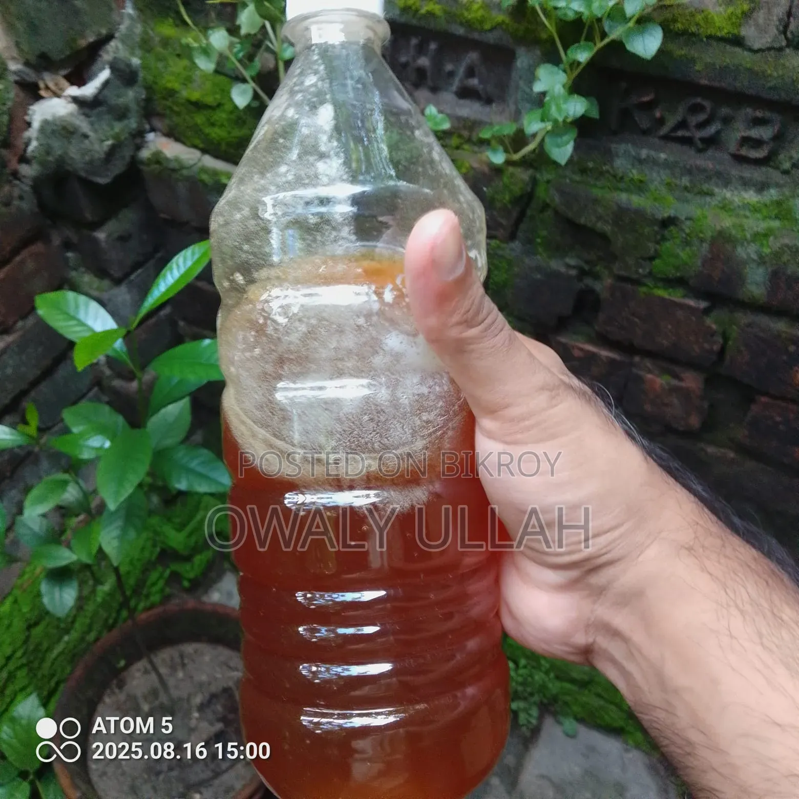 প্রাকৃতিক চাকের মধু