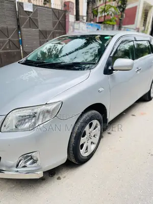 Toyota Corolla Fielder 2010 Silver