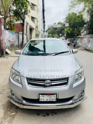 Toyota Corolla Fielder 2010 Silver