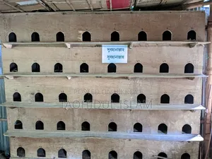 Pigeon Breeding Gallery