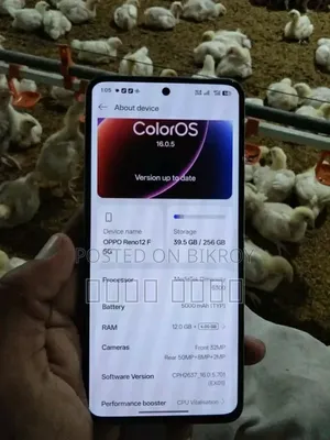 Oppo Reno12 F 5G 256 GB Green