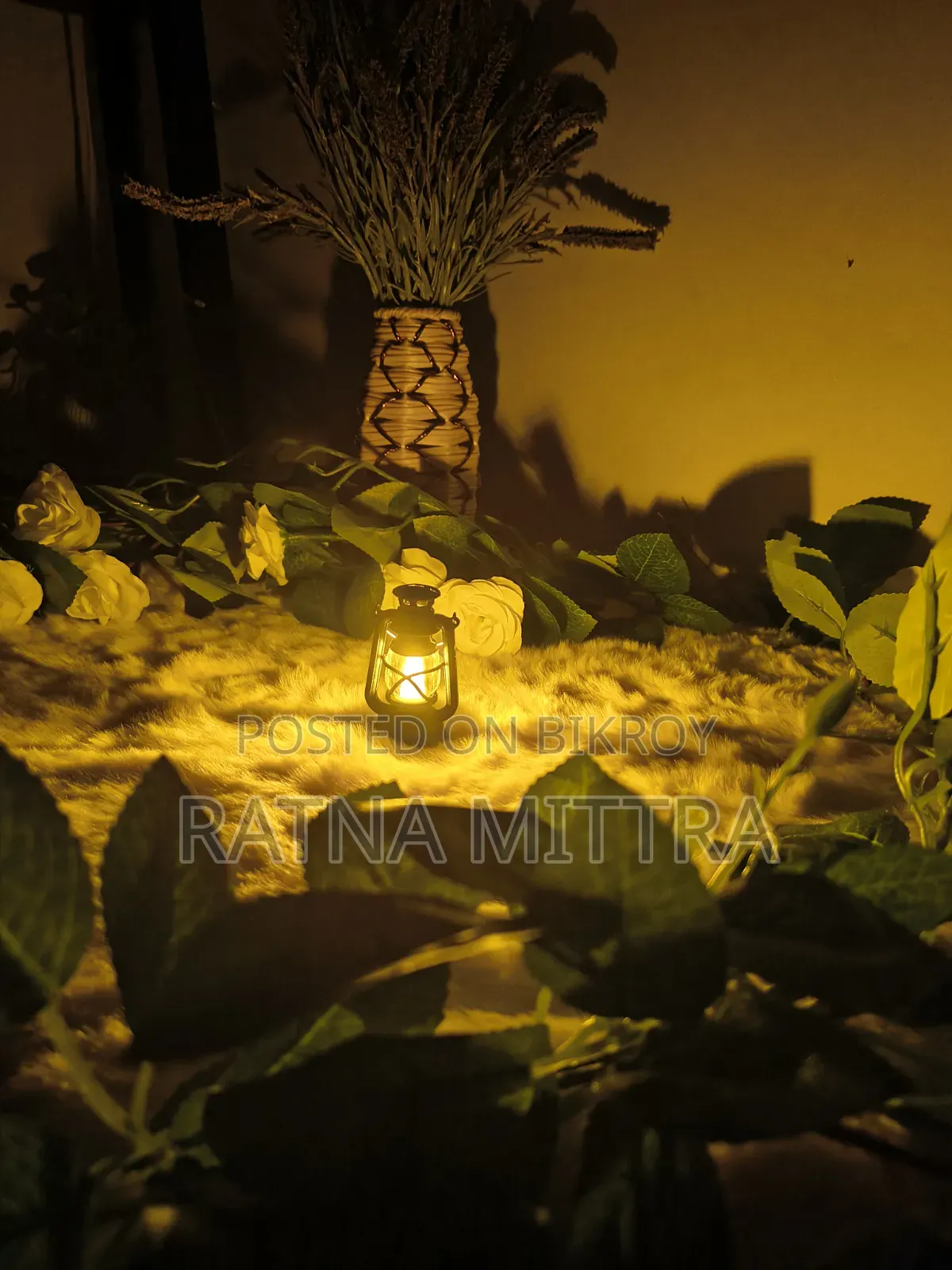 Hariken Light