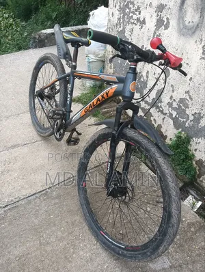 26 Size Non-Gear Running Bicycle