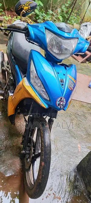 রানার কাইট + ১১০ ২০১৮ ব্লু