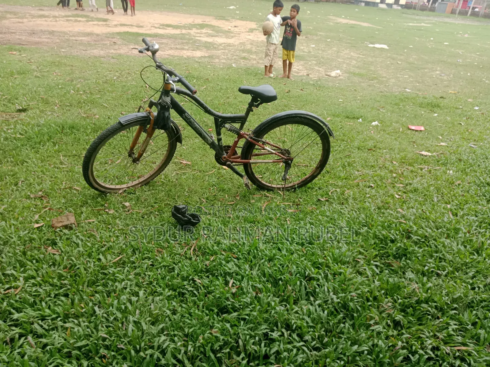 By Cycle DHHG