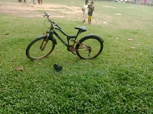 By Cycle DHHG