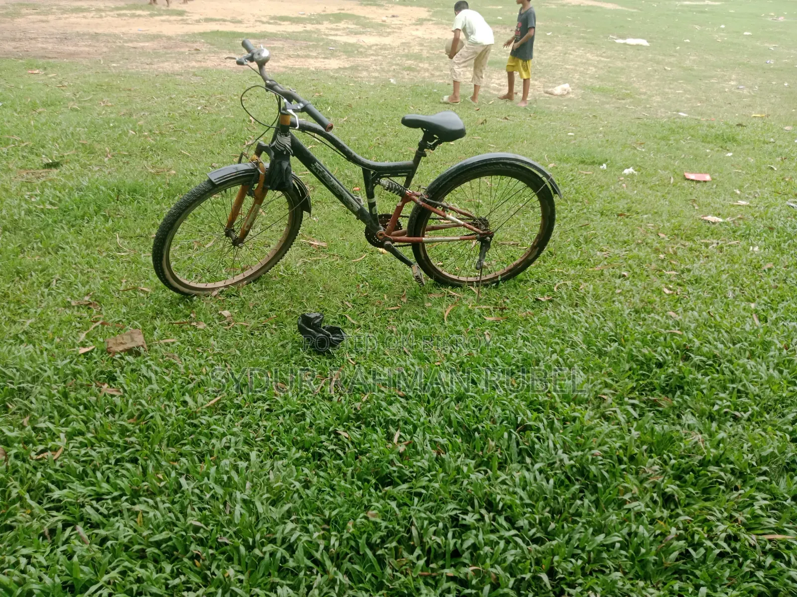 By Cycle DHHG
